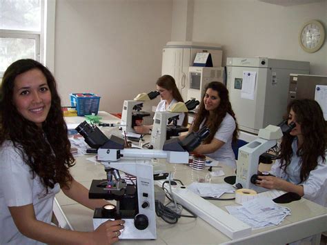 kırıkkale üniversitesi tıbbi laboratuvar teknikleri ders programı